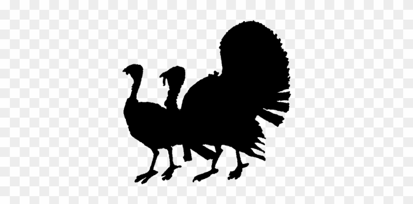 Turkey Dinner Black And White Clipart - Transparent Turkey Silhouette Png #1588876