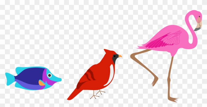 If You Think Of Anything Brightly Colored In The Animal - Cardinal #1588945
