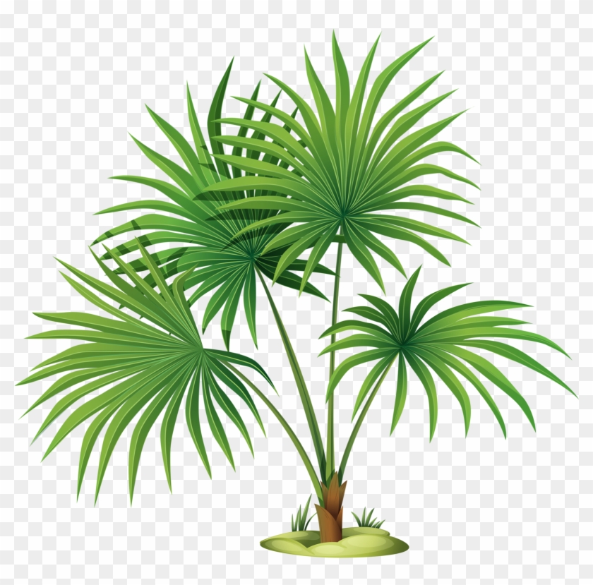 Palm Tree Leaves Clipart , Png Download - Palm Tree Leaves Clipart , Png Download #1588963