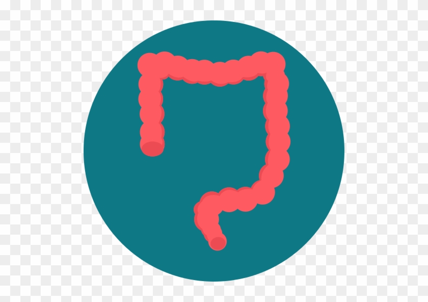 Muted Png File - Intestine Flat Icon Png #1588998