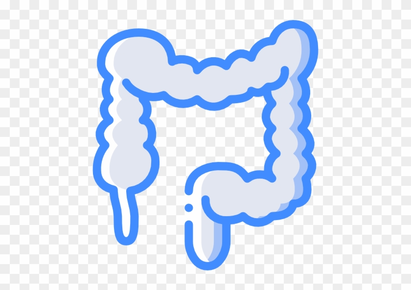 Colon Free Icon - Crohn's Disease #1589021