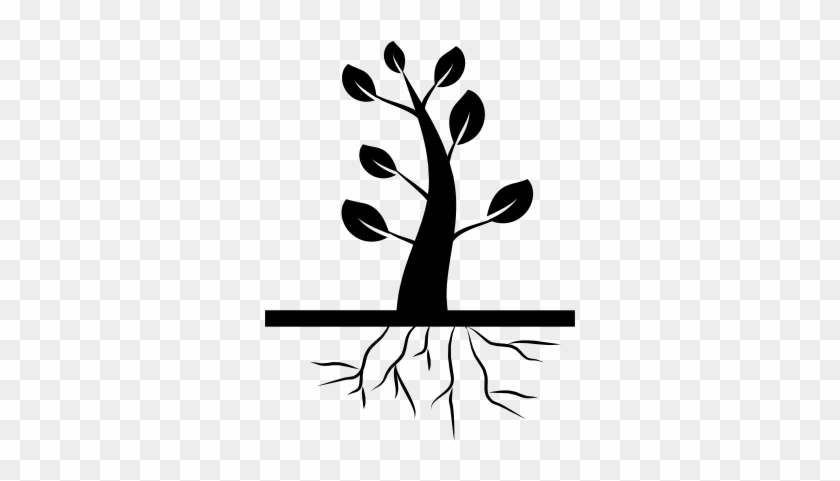 Tree And Roots Vector - Arbol Png #1589145