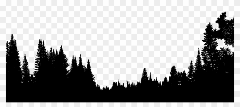 Forest Tree Silhouette - Forest Trees Silhouette Png #1589149