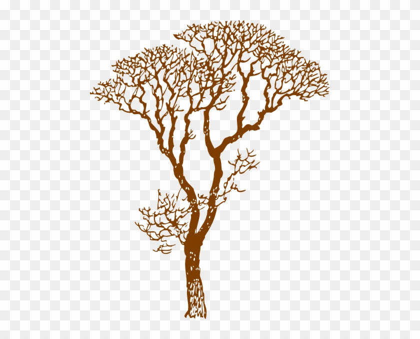 How To Set Use Brown Tree Svg Vector - How To Set Use Brown Tree Svg Vector #1589153