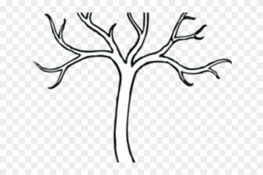 Tree Without Leaves Leaf Vector Images (over 150)