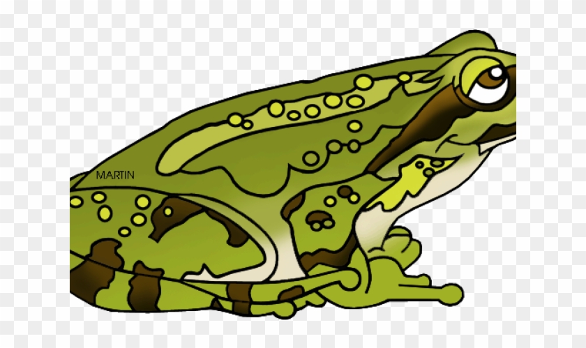 Green Frog Clipart Amphibian - Pacific Tree Frog #1589382