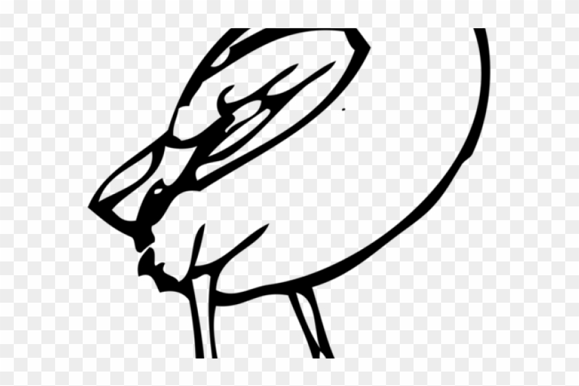 Feet Clipart Pigeon - Bird Clipart #1589552