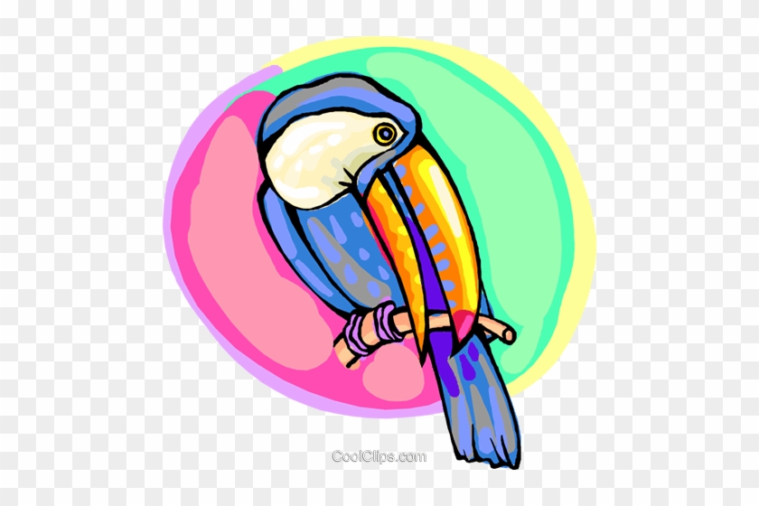 Toucan On A Branch Royalty Free Vector Clip Art Illustration - Toucan On A Branch Royalty Free Vector Clip Art Illustration #1589586