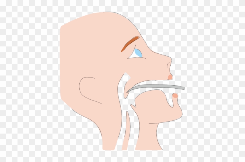 What About Surgery For Snoring - Illustration #1589613