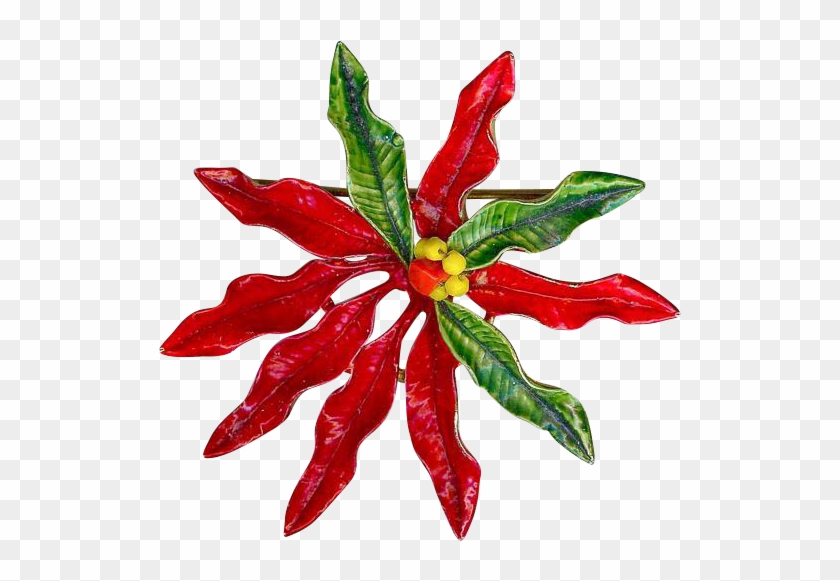 Tabasco Pepper #1589673