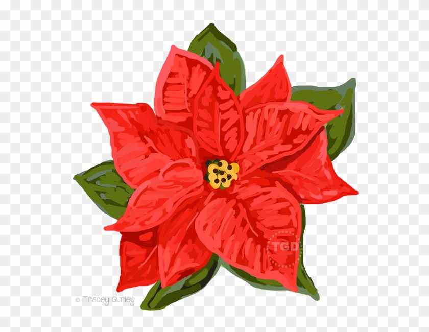 Poinsettia Png Download Image - Poinsettia Clip Art #1589675