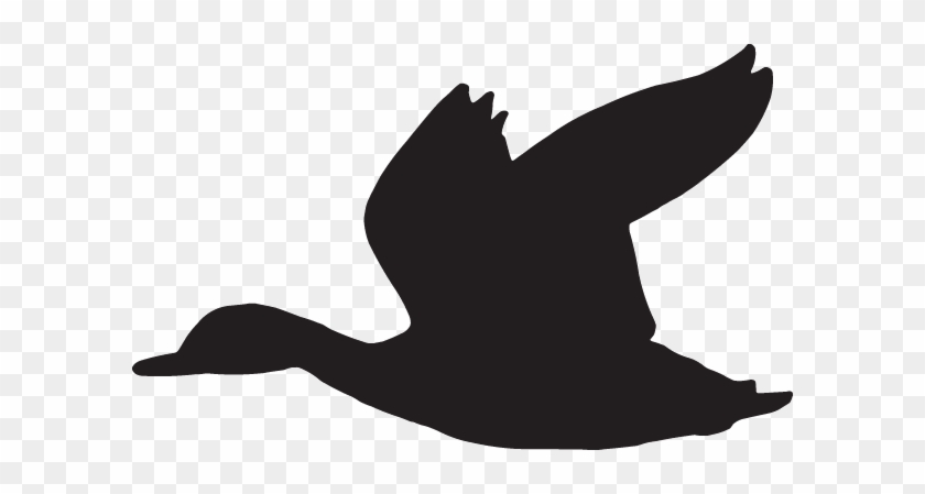 Dc16336 - Duck Decal #1589737