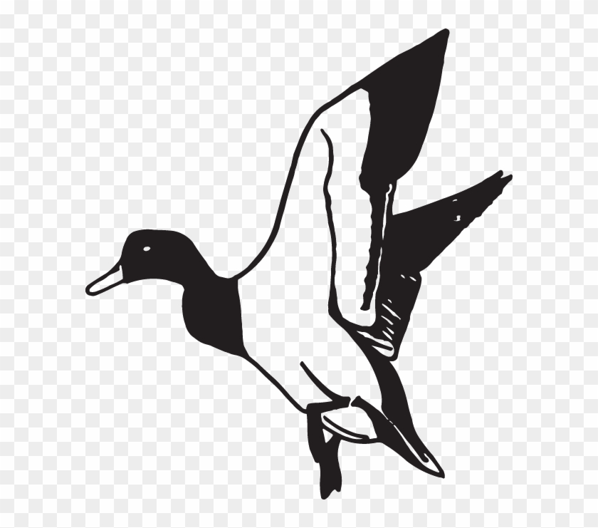 16334 - Duck Flying Clipart Black And White #1589739