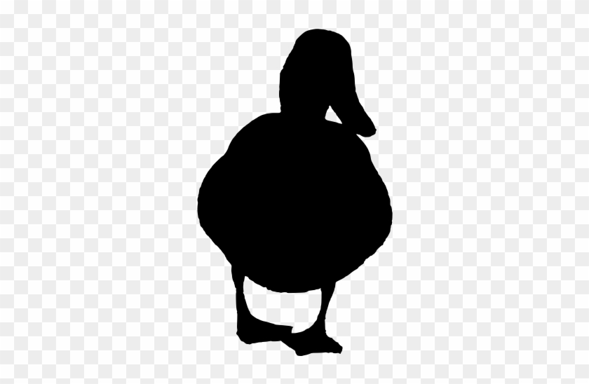 Info - Illustration #1589740