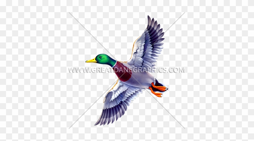 Item - Mallard #1589741