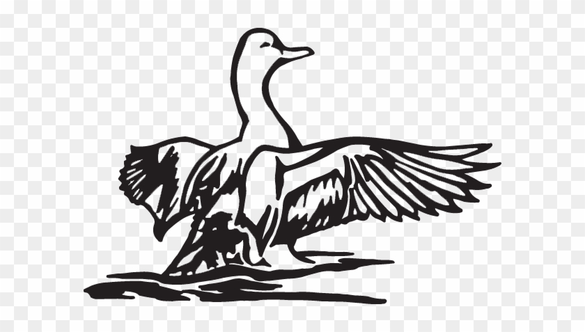 16335 - Turkey #1589743