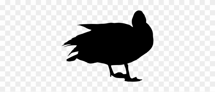 Svg Png - Duck #1589746