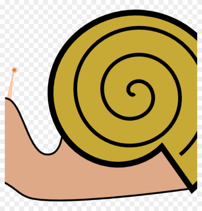 Snail Clipart Pond Snail - Snail #1589785