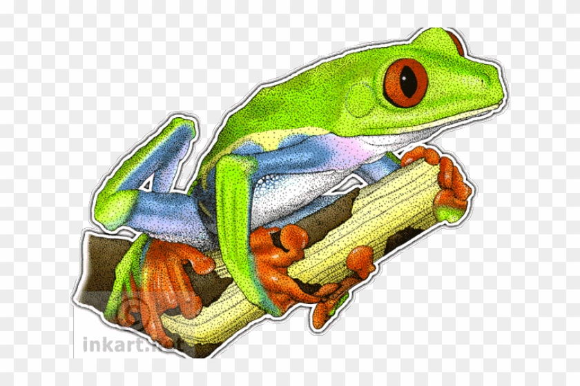 Frog #1589876