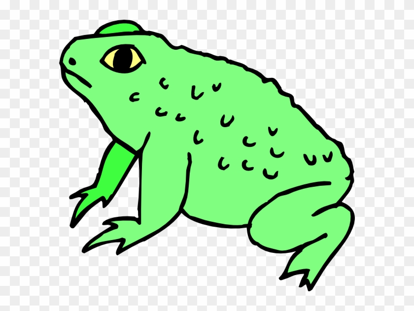 Original Png Clip Art File Warty Frog Svg Images Downloading - Original Png Clip Art File Warty Frog Svg Images Downloading #1589879