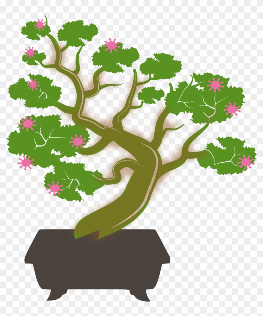 Big Image - Bonsai #1590032