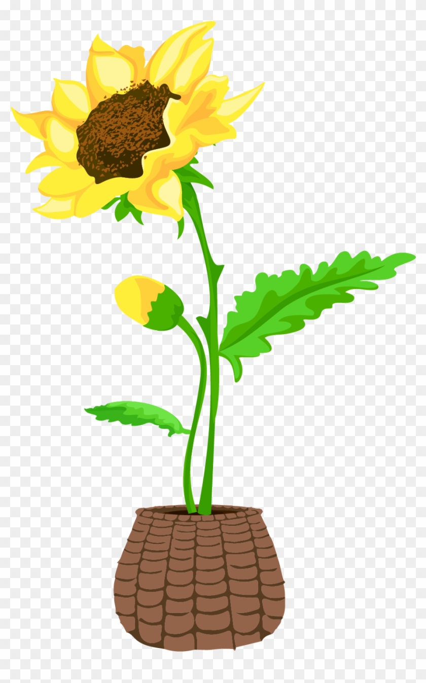 Bonsai Sunflower Flower Hand Drawn Wind Png And Vector - Sunflower #1590044