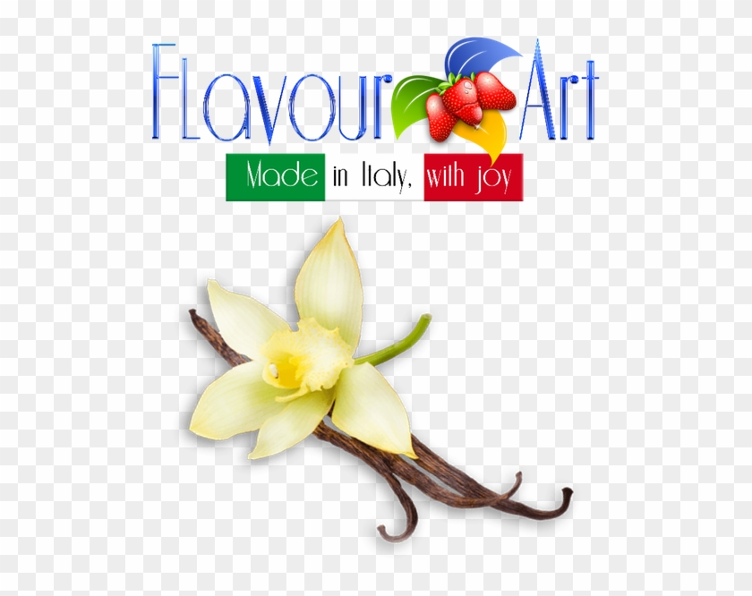 Vanilla Tahity By Flavourart Concentrate - Flavour Art #1590062
