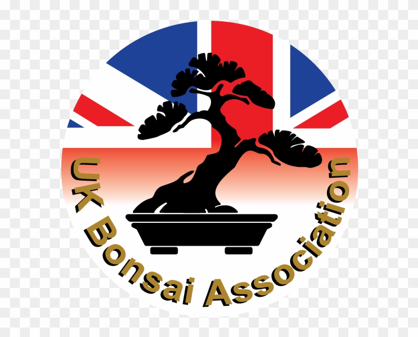 Uk Bonsai Association - Skateboarding #1590079