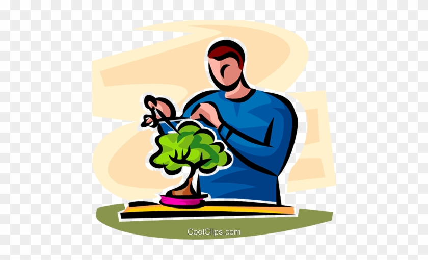 Man Looking After A Bonsai Plant Royalty Free Vector - Illustration #1590083