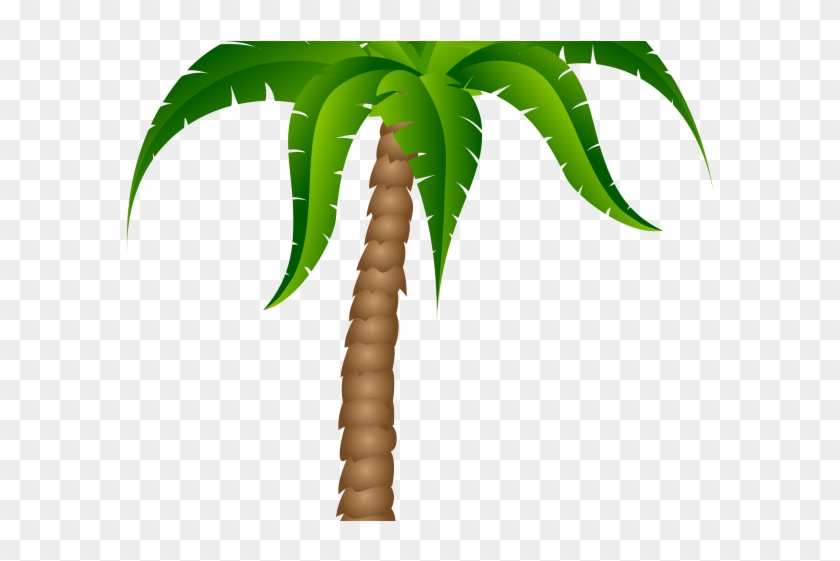 Sunset Clipart Palm Tree - Cartoon Palm Tree Transparent Background #1590354