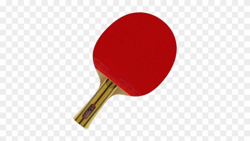 Paddles Amdt Ping Pong San Francisco Table Tennis - Ping Pong Paddle Png #1590518