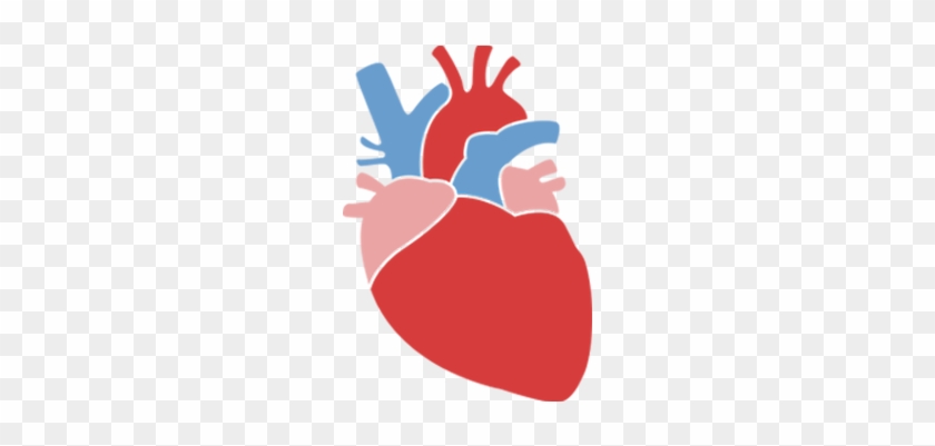 Heart Age Calculator - Heart Age Calculator #1590788