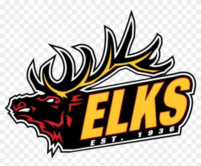 Brookfield Elks - Brookfield Elks #1591696