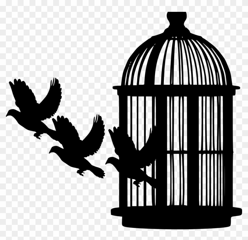You Have Spent Years In Prison And Now You Have Come - Bird Cage Silhouette Png #1591808