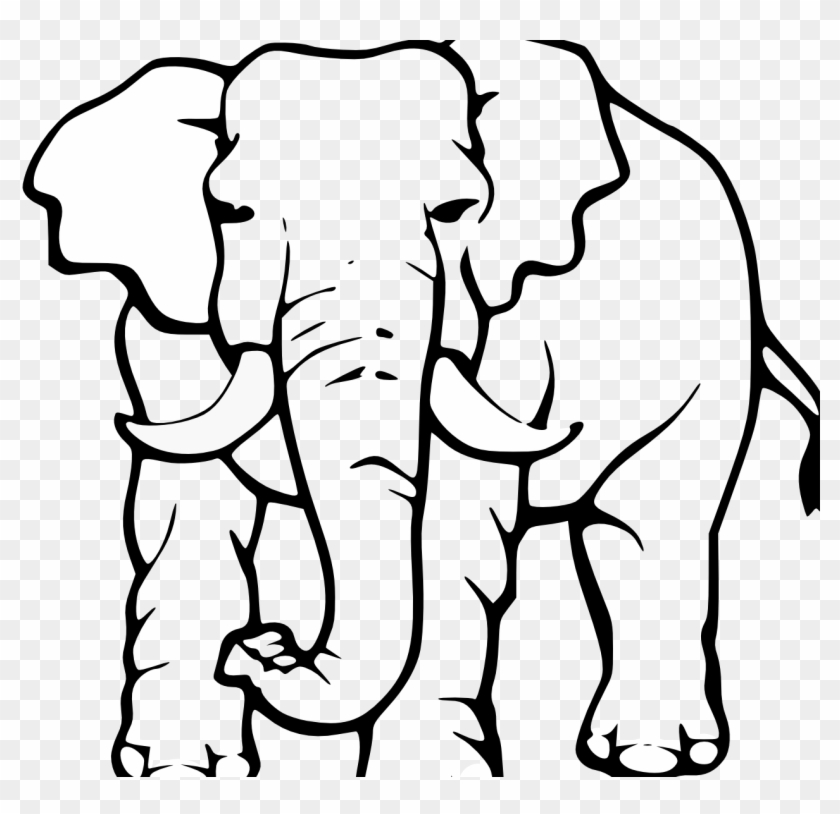 Elephant - Animals Drawing Black And White Png #1591886