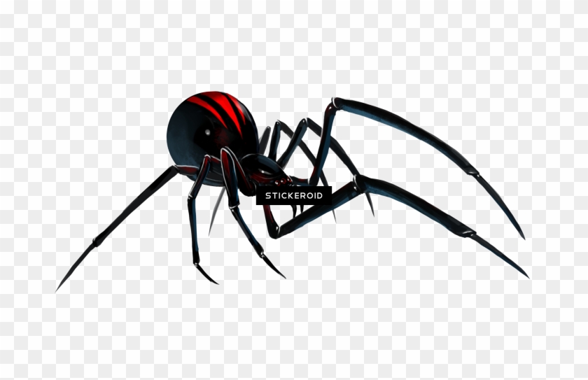 Black Widow Spider - Aranha Viuva Negra Png #1592027