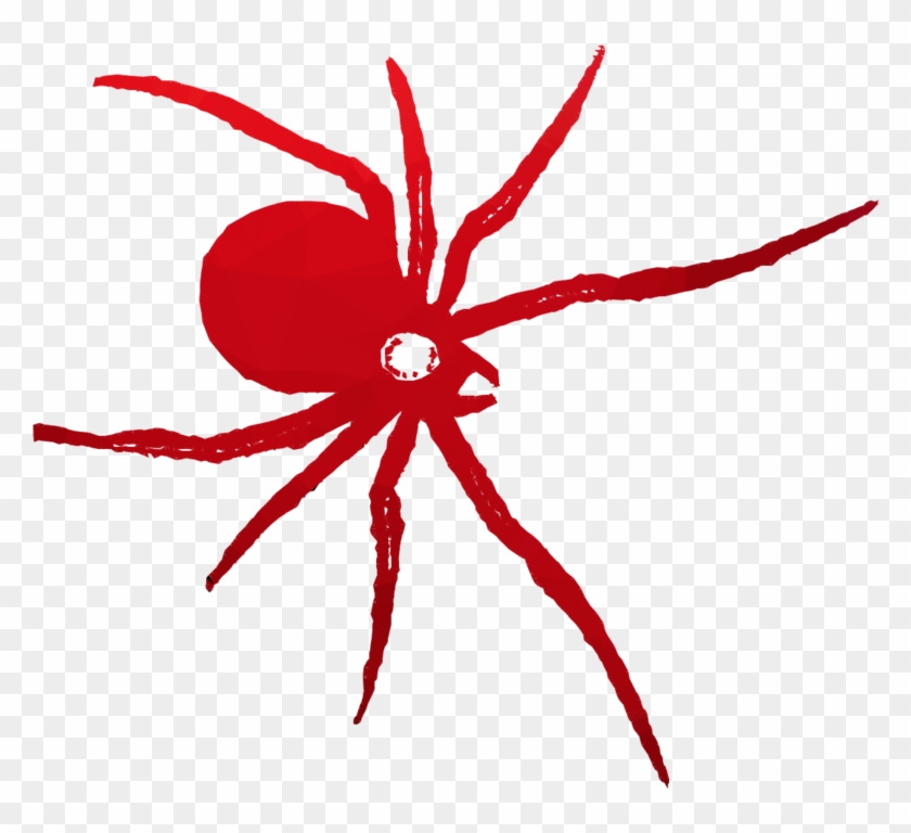 Spider Clipart Spider Western Black Widow - Araneus Cavaticus #1592028