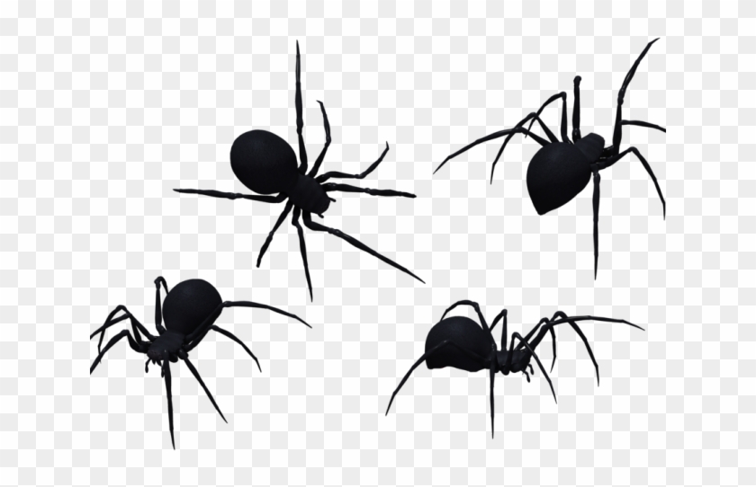 Black Widow Clipart Silhouette - Black Spiders Png #1592037
