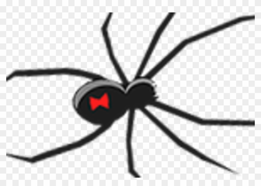 Close Modal Window - Black Widow Clip Art #1592068