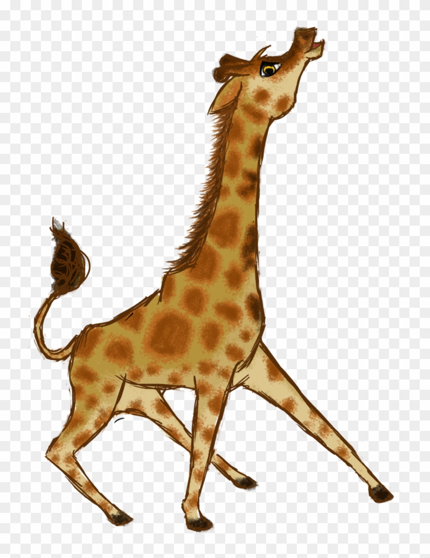 Giraffe #1592866