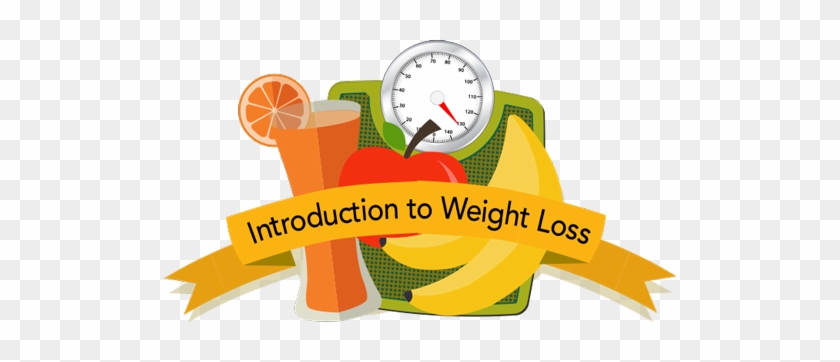 Introduction To Weight Loss - Introduction To Weight Loss #1593127