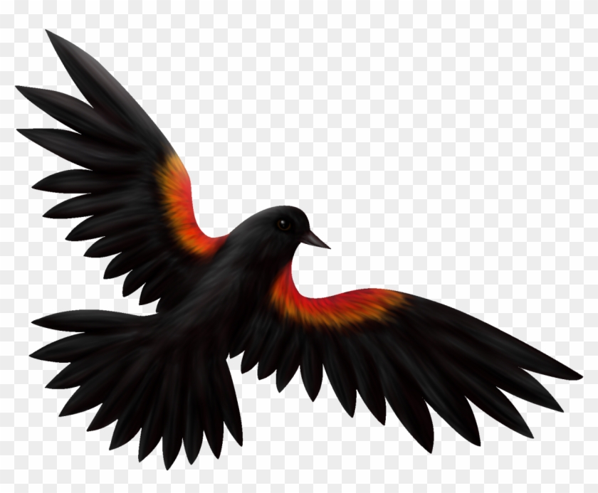 Clip Art Transparent The Lone Artist - Red Winged Blackbird Drawing #1593314