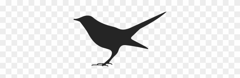 Black Bird Clipart 56808 - Little Black Bird Png #1593324