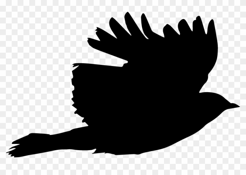 Blackbird-takeoff - Illustration #1593330