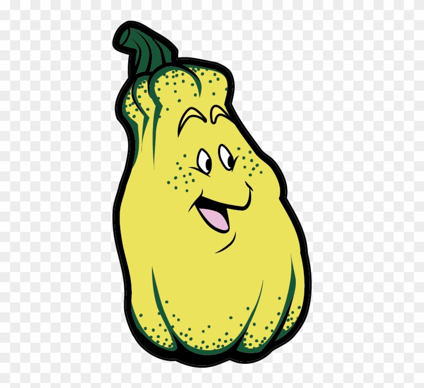 Delicata Squash - Delicata Squash #1593354