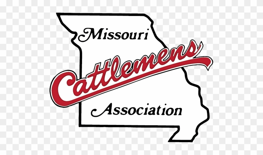 Missouri Cattleman's Association County Affiliates - Mo Cattlemen's Association Logo #1593569