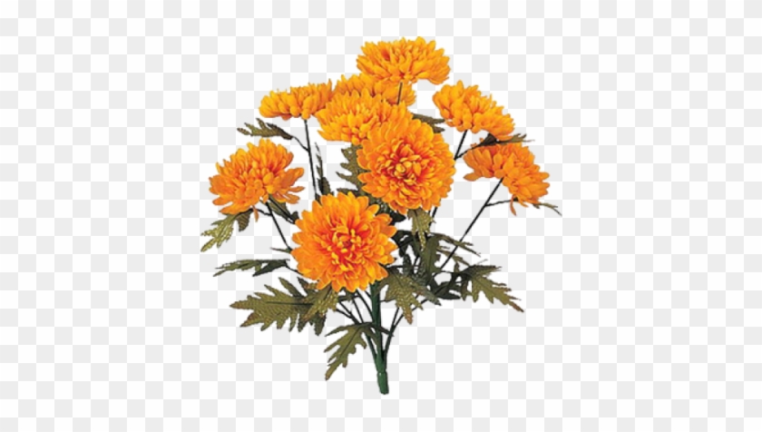 Marigold Icon Clipart Png Images - Marigold Plant Png #1593990