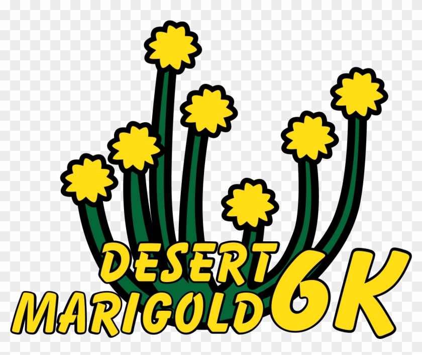 Desert Marigold 6k - Desert Marigold 6k #1593999