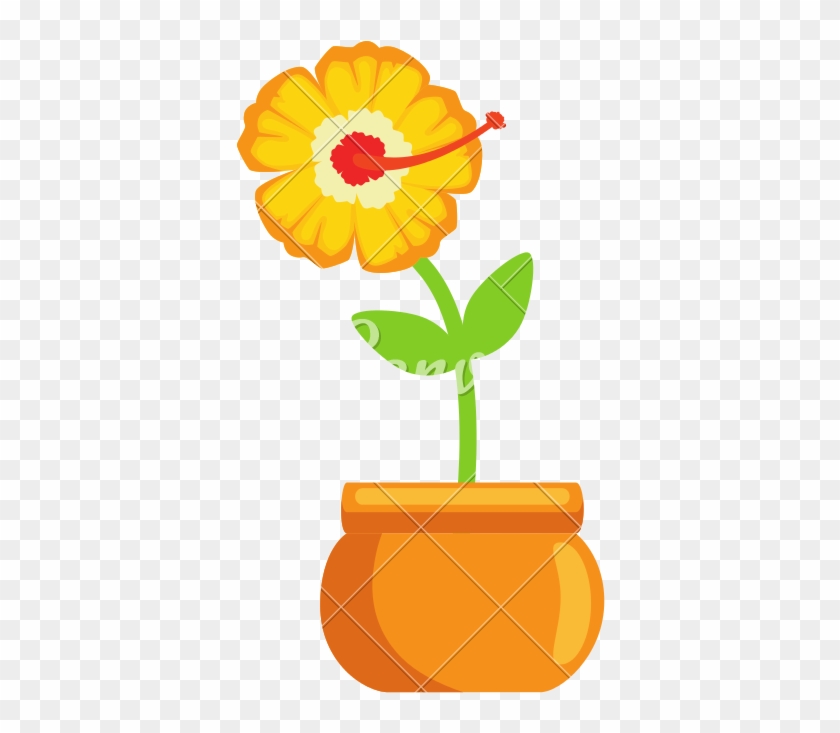 Exotic Flower In Pot - English Marigold #1594023