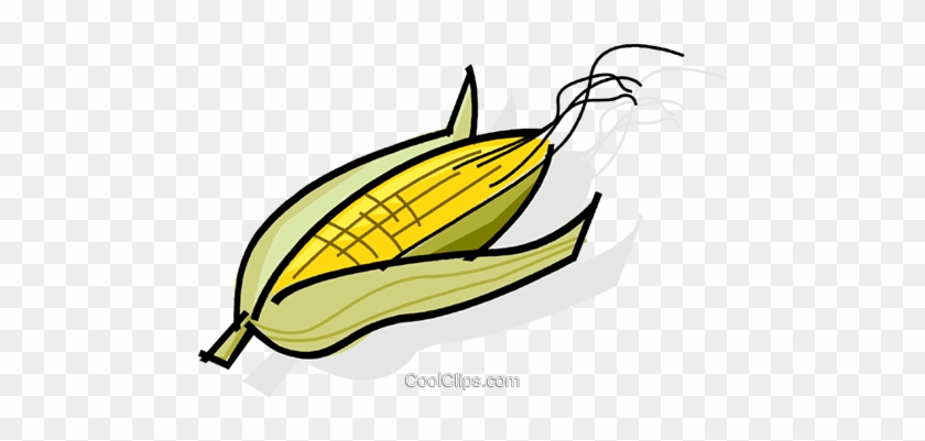 Cobs Of Corn Royalty Free Vector Clip Art Illustration - Cobs Of Corn Royalty Free Vector Clip Art Illustration #1594303